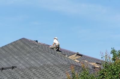 Roofing Specialist